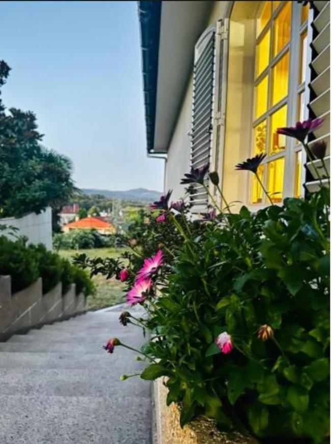 A Casa De Abelleira Ponteareas Bed & Breakfast Dış mekan fotoğraf