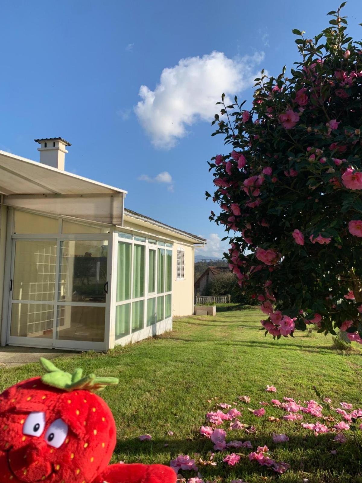A Casa De Abelleira Ponteareas Bed & Breakfast Dış mekan fotoğraf