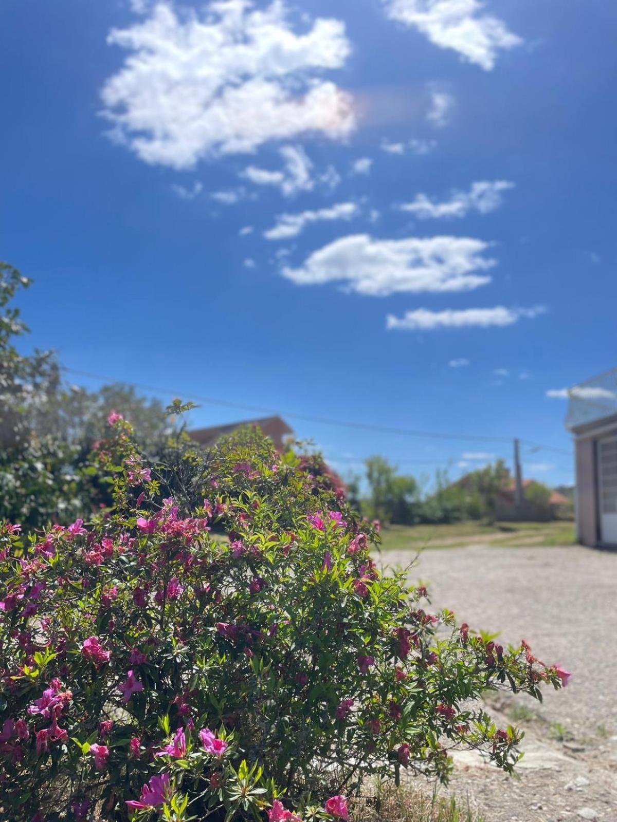 A Casa De Abelleira Ponteareas Bed & Breakfast Dış mekan fotoğraf